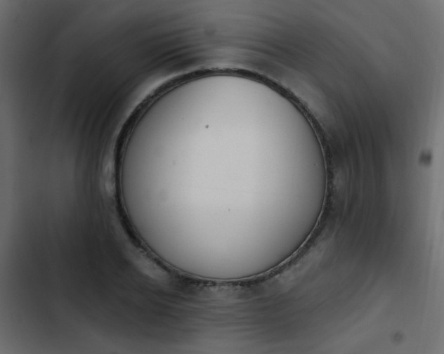 X0000103930934200809261700