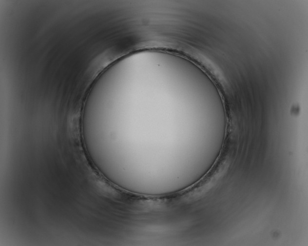 X0000103930937200809261700