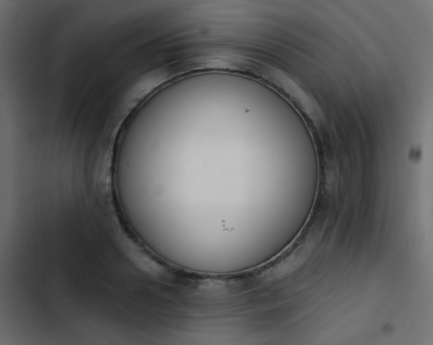 X0000103930938200809261700