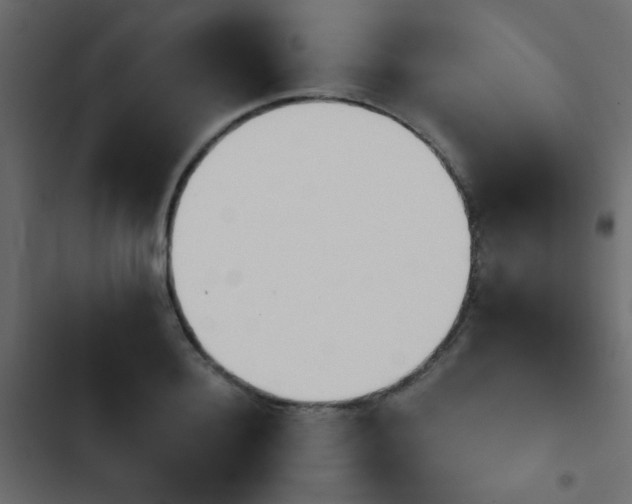 X0000103930940200809261700