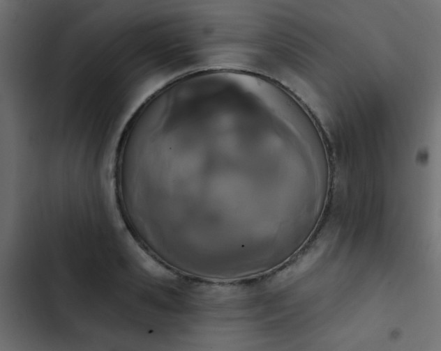 X0000103930941200809261700