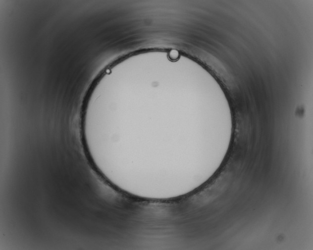 X0000103930942200809261700