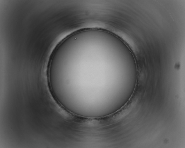 X0000103930943200809261700