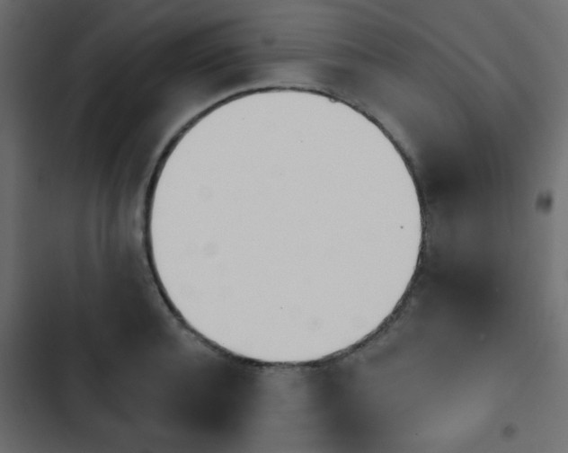X0000103930944200809261700