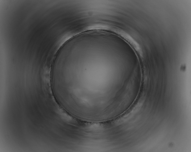 X0000103930945200809261700