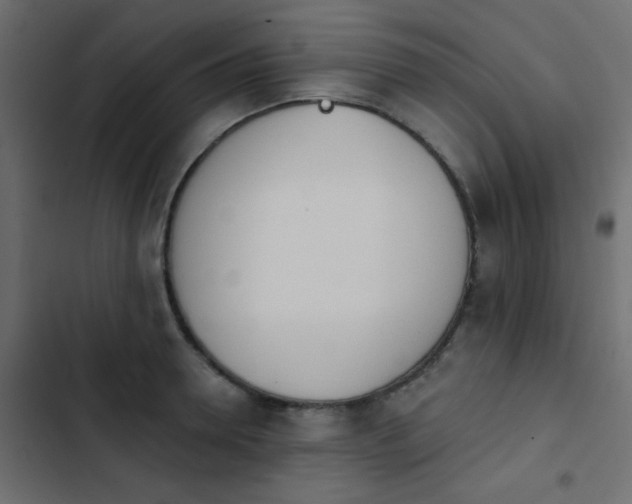 X0000103930946200809261700