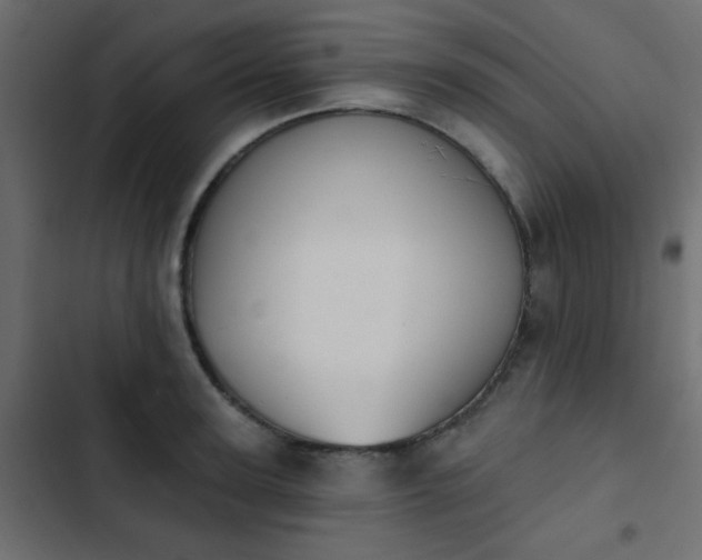 X0000103930947200809261700