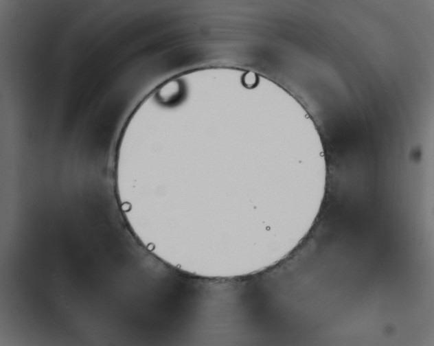 X0000103930948200809261700