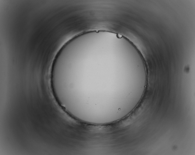 X0000103930949200809261700