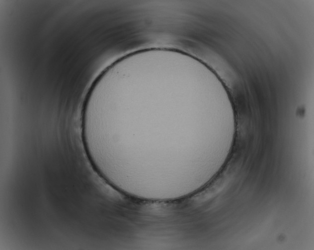 X0000103930950200809261700