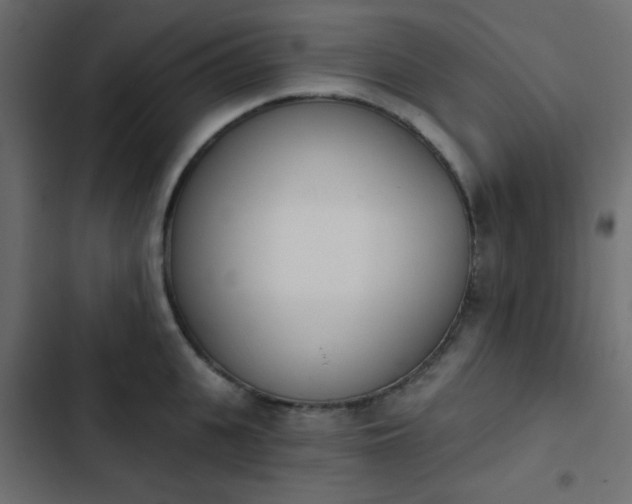 X0000103930951200809261701