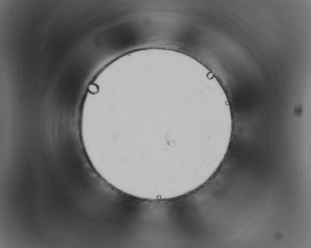 X0000103930952200809261701