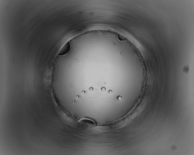 X0000103930953200809261701