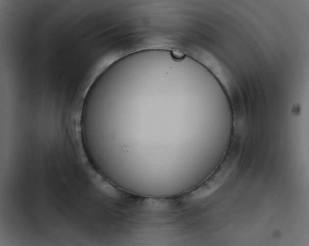 X0000103930954200809261701