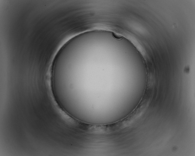 X0000103930955200809261701