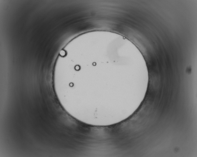 X0000103930956200809261701