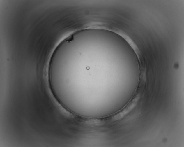 X0000103930957200809261701