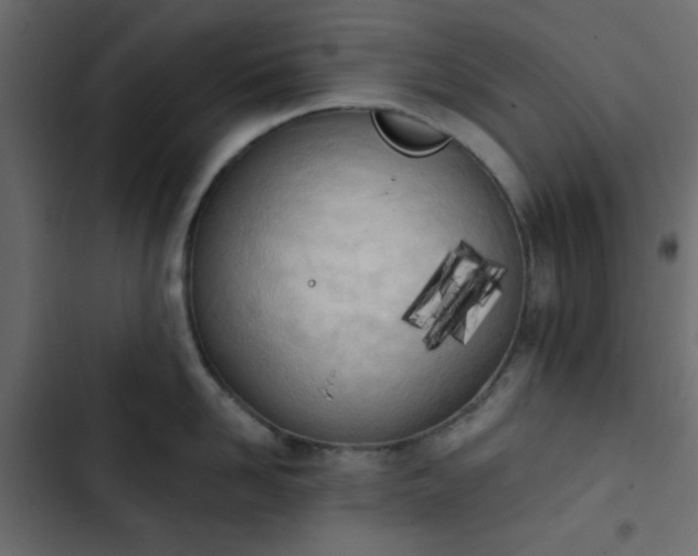 X0000103930958200809261701