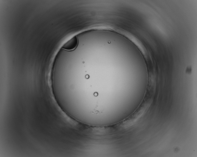 X0000103930959200809261701