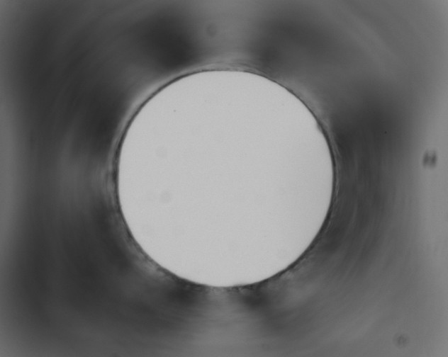 X0000103930960200809261701