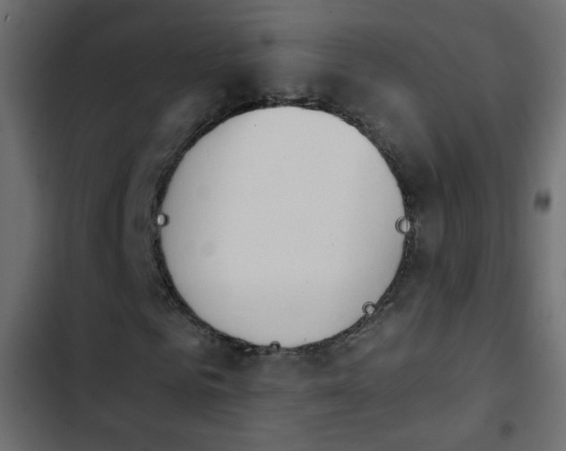 X0000103930961200809261700