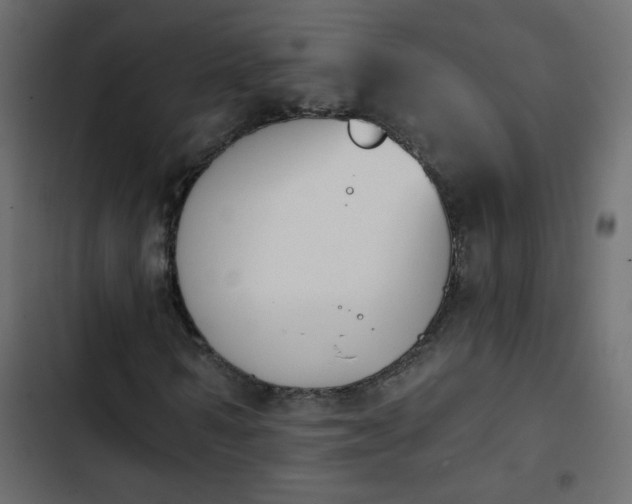 X0000103930962200809261700