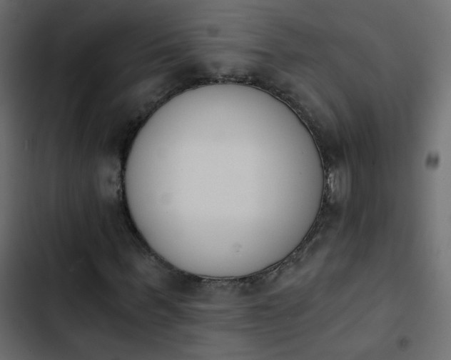 X0000103930963200809261700