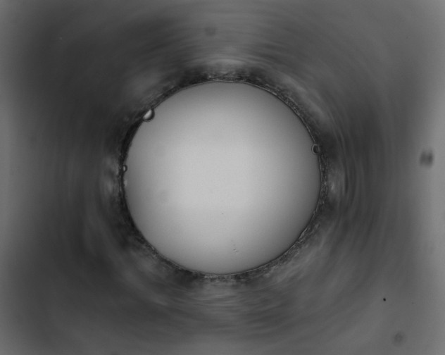 X0000103930964200809261700