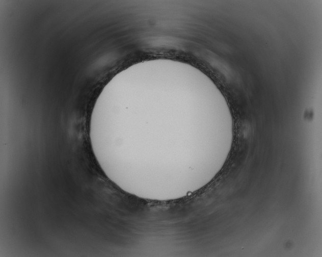 X0000103930965200809261700
