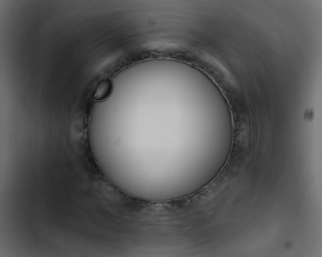X0000103930966200809261700
