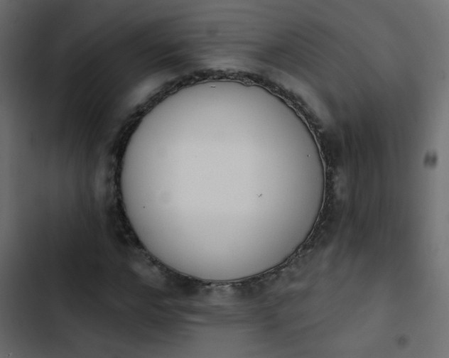 X0000103930968200809261700