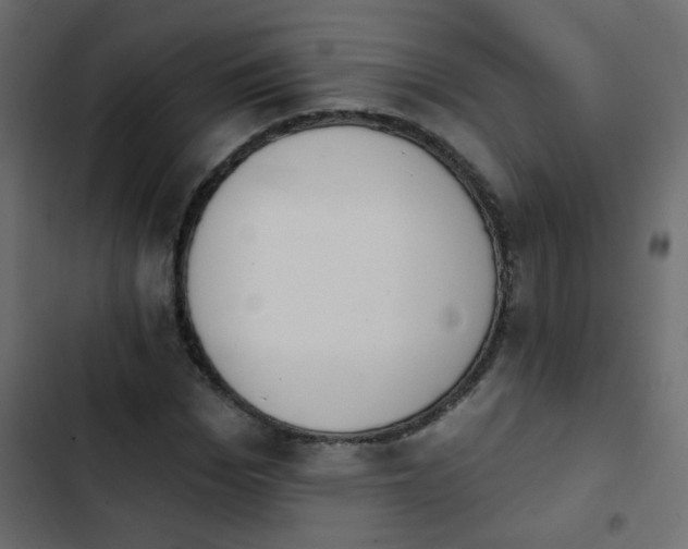 X0000103930969200809261700