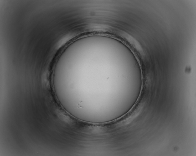 X0000103930970200809261700