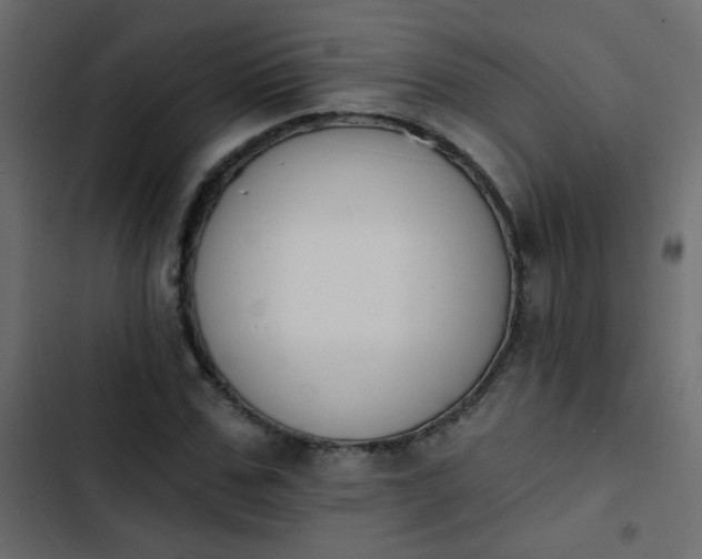 X0000103930971200809261700