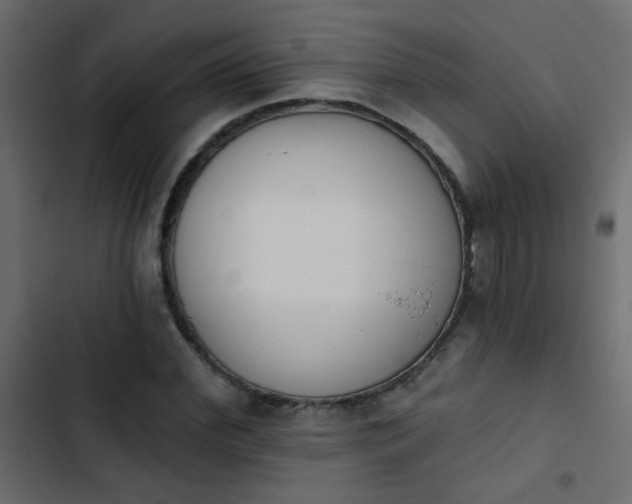 X0000103930972200809261700