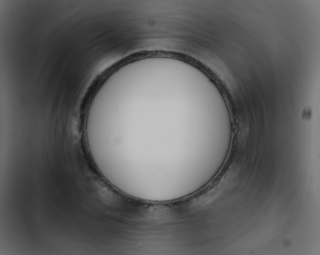 X0000103930974200809261700