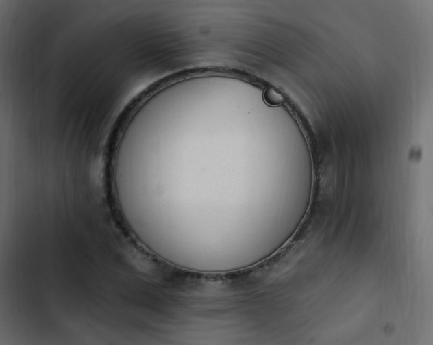 X0000103930975200809261700