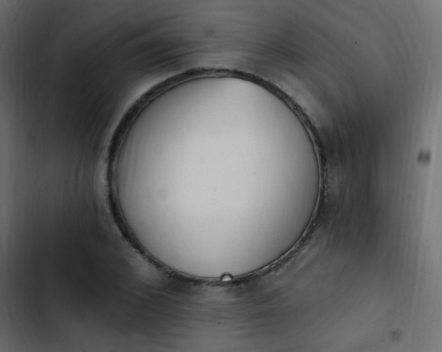 X0000103930976200809261700