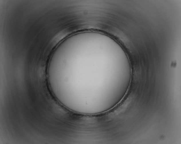 X0000103930977200809261700