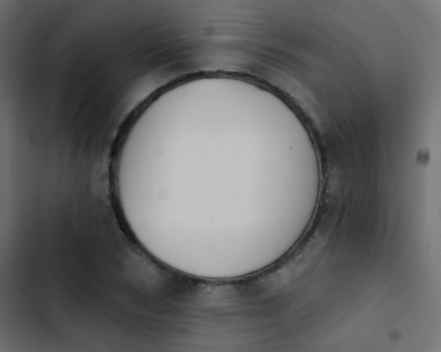 X0000103930978200809261700