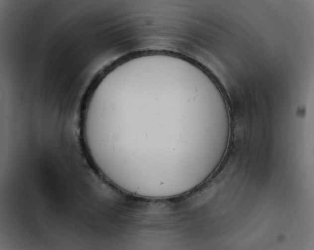X0000103930979200809261700