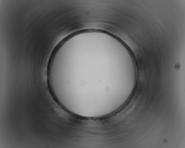 X0000103930980200809261700
