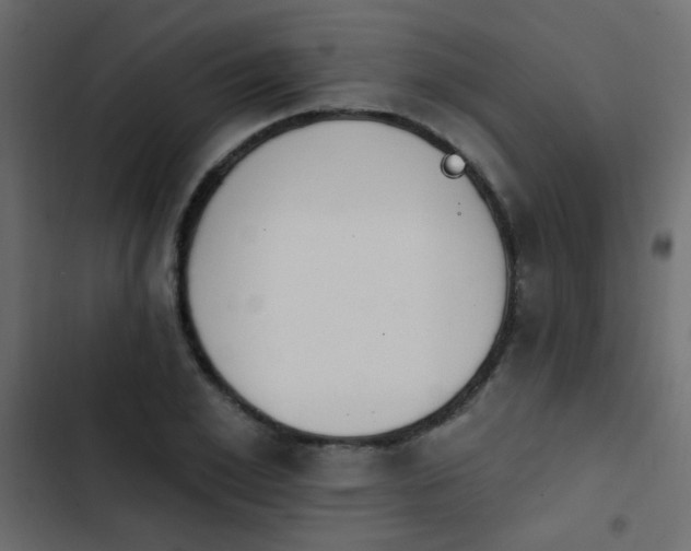 X0000103930981200809261700