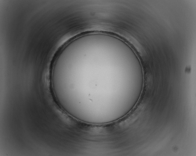 X0000103930982200809261700