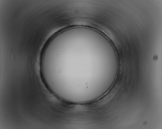 X0000103930984200809261700