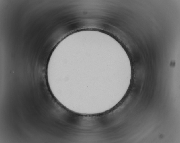 X0000103930985200809261700
