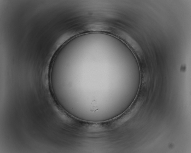 X0000103930986200809261700