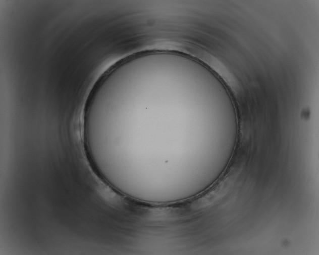 X0000103930988200809261700