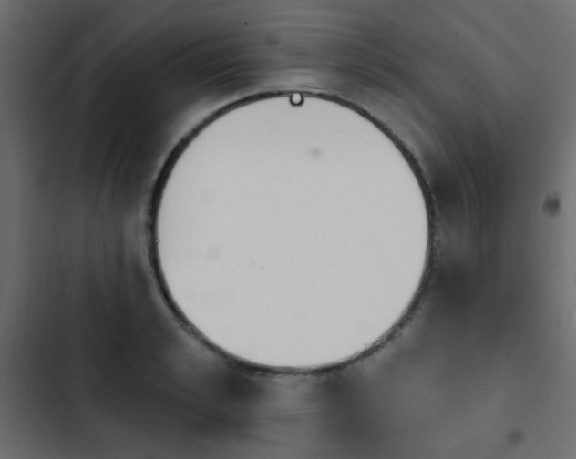 X0000103930989200809261700