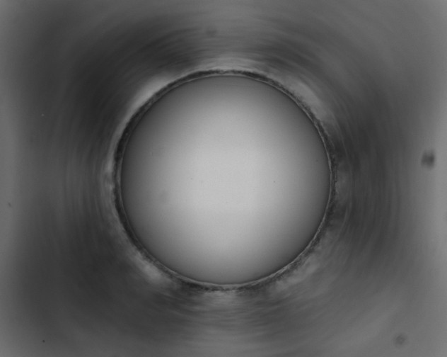 X0000103930990200809261700